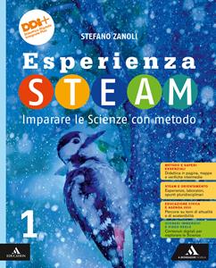 Copertina di Esperienza Steam