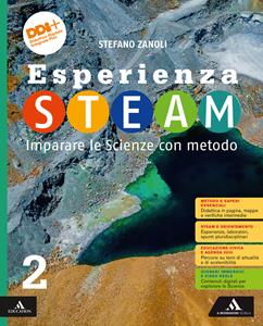 Copertina di Esperienza Steam