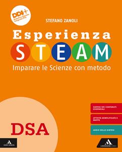 Copertina di Esperienza Steam